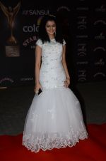 Palak Muchhal at the red carpet of Stardust awards on 21st Dec 2015 (573)_56793e4e90988.JPG