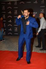 Salman Khan at the red carpet of Stardust awards on 21st Dec 2015 (1128)_5679532c6c17a.JPG