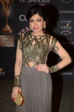 Tulsi Kumar at the red carpet of Stardust awards on 21st Dec 2015 (973)_567940a357a7d.JPG