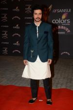 at the red carpet of Stardust awards on 21st Dec 2015 (875)_56793de4df74f.JPG