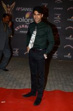 at the red carpet of Stardust awards on 21st Dec 2015 (924)_56793df39eb8a.JPG