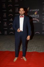 at the red carpet of Stardust awards on 21st Dec 2015 (981)_56793e3040ad7.JPG