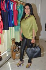 Aarti Surendranath at Ananya Pop-up in Mumbai on 22nd Dec 2015 (22)_567a5356c3182.JPG