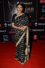 Deepti Naval at Producer_s Guild Awards on 22nd Dec 2015 (142)_567a75b593388.JPG