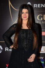 Kainaat Arora at Producer_s Guild Awards on 22nd Dec 2015 (157)_567a76a3e0e6f.JPG
