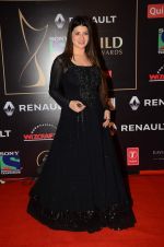 Kainaat Arora at Producer_s Guild Awards on 22nd Dec 2015 (160)_567a76a651ab8.JPG