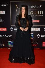 Kainaat Arora at Producer_s Guild Awards on 22nd Dec 2015 (164)_567a76aa567a7.JPG