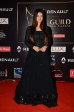 Kainaat Arora at Producer_s Guild Awards on 22nd Dec 2015 (165)_567a76ab9fa0c.JPG