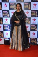 Esha Gupta at Star Screen Awards Red Carpet on 8th Jan 2016 (378)_56935df0a1a34.JPG