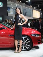 Katrina Kaif launches Jaguar XE at Auto Expo 2016 in Delhi on 3rd Feb 2016 (64)_56b30219cbbef.JPG