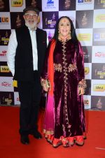 Ila Arun at radio mirchi awards red carpet in Mumbai on 29th Feb 2016 (234)_56d59eb6282d1.JPG