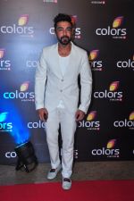 Aashish Chaudhary at Colors red carpet on 12th March 2016 (227)_56e5523716728.JPG