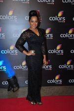 Meghna Naidu at Colors red carpet on 12th March 2016 (233)_56e5543c50315.JPG
