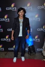 at Colors red carpet on 12th March 2016 (115)_56e5535479914.JPG