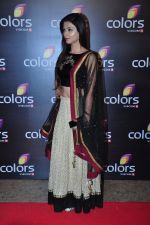 at Colors red carpet on 12th March 2016 (289)_56e55394aee81.JPG