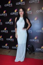 at Colors red carpet on 12th March 2016 (77)_56e553489744d.JPG