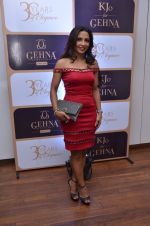 at Gehna 30 years anniversary on 15th March 2016 (53)_56e9733378e66.JPG