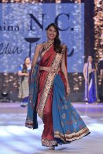 Celebs walk the ramp for Shaina NC_s show at CPAA Fevicol SHOW on 20th March 2016 (113)_56f004a907700.JPG