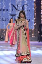 Celebs walk the ramp for Shaina NC_s show at CPAA Fevicol SHOW on 20th March 2016 (124)_56f004df60320.JPG