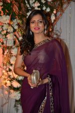 Drashti Dhami at Bipasha Basu and Karan Singh Grover_s Wedding Reception on 30th April 2016 (209)_5728252407fb3.JPG