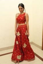 Regina Cassandra at a music launch on 8th May 2016 (435)_57302fdc327a2.JPG