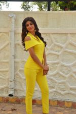 Shilpa Shetty at Promo Shoot of Sony TV_s India_s Super Dancer on 24th May 2016 (12)_574707e26ad08.JPG