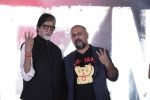 Amitabh Bachchan, Vishal Dadlani at New Song Released at the TE3N Music Launch in Mumbai on 27th May 2016 (68)_574943087cf8b.JPG
