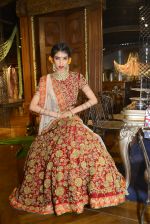 at Jade_s wedding collection launch with new store in Mumbai on 1st June 2016 (16)_574fe56f4e511.JPG