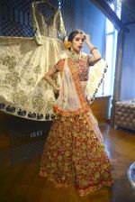 at Jade_s wedding collection launch with new store in Mumbai on 1st June 2016 (6)_574fe563c5ba6.JPG
