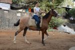 Tamannah Bhatia learns horse riding for Baahubali 2 on 8th June 2016 (4)_57592624c9e64.JPG