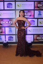 Gauhar Khan at ZEE Gold Awards on 9th June 2016 (2)_575a88c9cc411.jpg