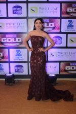 Gauhar Khan at ZEE Gold Awards on 9th June 2016 (3)_575a88cb7998e.jpg