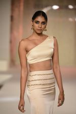 Model walks the ramp for Pernia Qureshi_s standalone show on 9th June 2016 (45)_575a84b013217.JPG