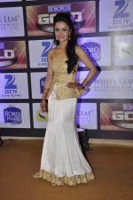 at ZEE Gold Awards on 9th June 2016 (159)_575a880852d8d.JPG