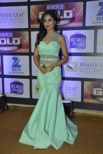 at ZEE Gold Awards on 9th June 2016 (45)_575a87df106ab.JPG
