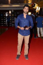 at CINEMAA AWARDS red carpet on 13th June 2016 (59)_575f8132ad5c6.jpg