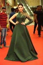 at CINEMAA AWARDS red carpet on 13th June 2016 (82)_575f81768354d.jpg