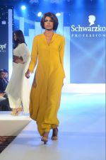 Model walks for Schwarzkopf in Mumbai on 18th June 2016 (59)_57664c6c07906.JPG