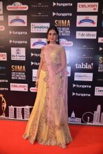 Sonal Chauhan at SIIMA Awards 2016 Red carpet day 2 on 1st July 2016 (15)_57776e76392e3.JPG