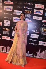 Sonal Chauhan at SIIMA Awards 2016 Red carpet day 2 on 1st July 2016 (32)_57776e78b8858.JPG