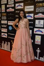at SIIMA Awards 2016 Red carpet day 2 on 1st July 2016 (115)_57776dfc5435e.JPG
