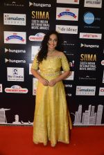 at SIIMA Awards 2016 Red carpet day 2 on 1st July 2016 (177)_57776e178858c.JPG