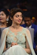 at SIIMA Awards 2016 Red carpet day 2 on 1st July 2016 (4)_57776aa3a01e1.JPG