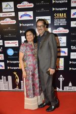 at SIIMA Awards 2016 Red carpet day 2 on 1st July 2016 (65)_57776ded9646c.JPG