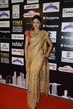 at SIIMA Awards 2016 Red carpet day 2 on 1st July 2016 (72)_57776df284c05.JPG