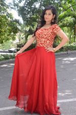 Tejaswini Prakash (116)_5787cf0bb6d89.jpg