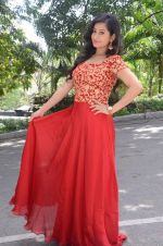 Tejaswini Prakash (117)_5787cf0d2fdcd.jpg