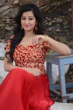 Tejaswini Prakash (71)_5787cecf85e83.jpg