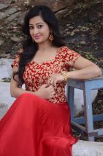 Tejaswini Prakash (83)_5787cee0d6f2b.jpg