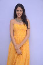 Lavanya Tripathi (57)_578fb5ecd47aa.jpg